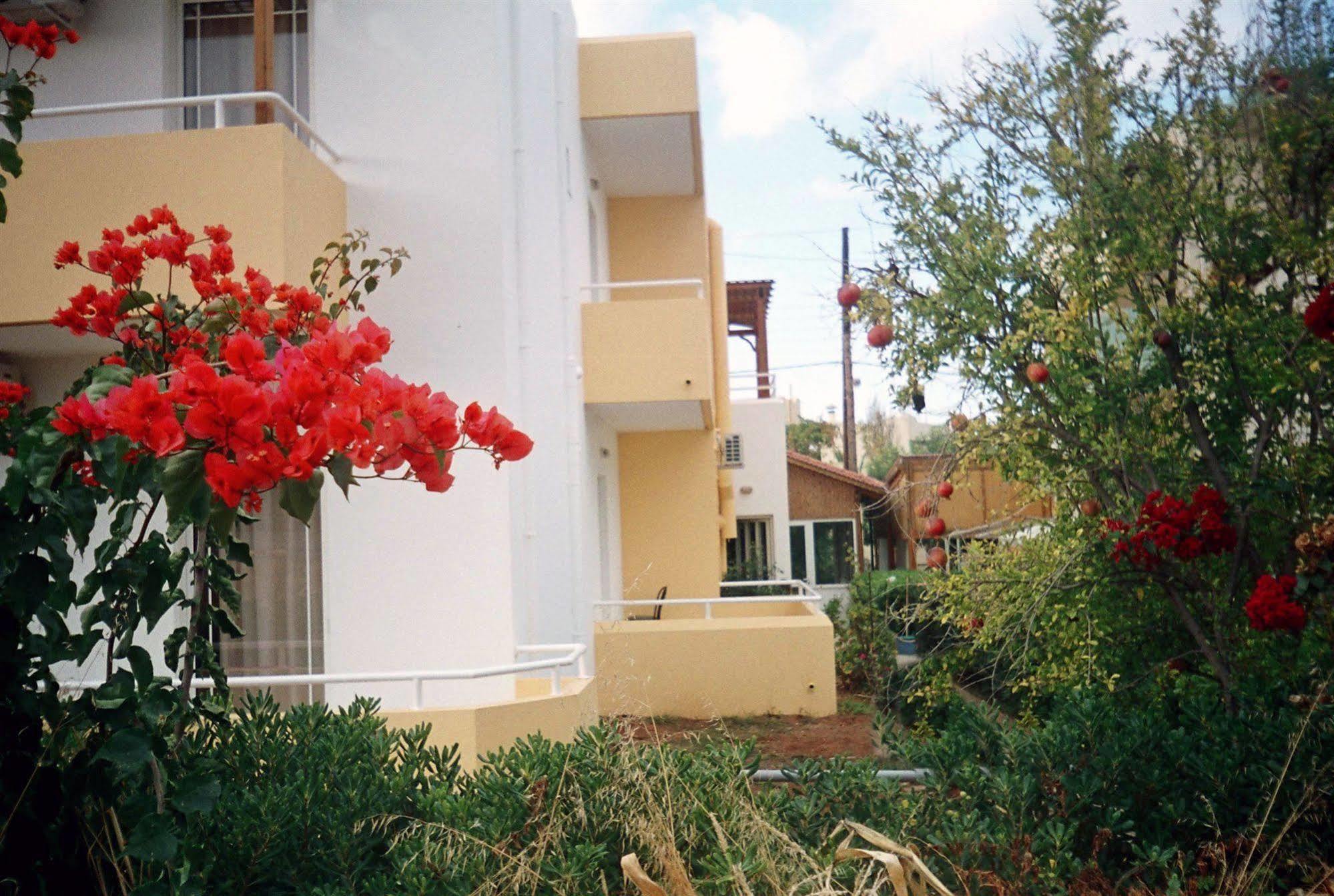 Dimitra Apartments Goúvai Ngoại thất bức ảnh